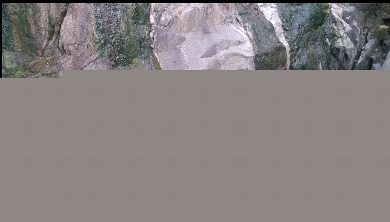 午夜天堂一区人妻